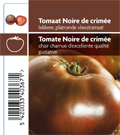 Tomate Noire de Crimèe (tray 12 pot)